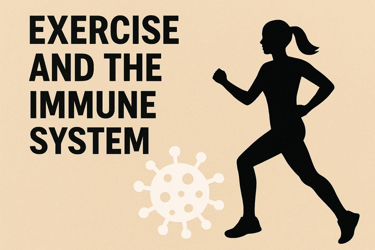 کاراته شیتوریو نیو اینترنشنال